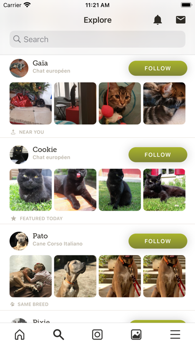 Yummypets - Pets Screenshot