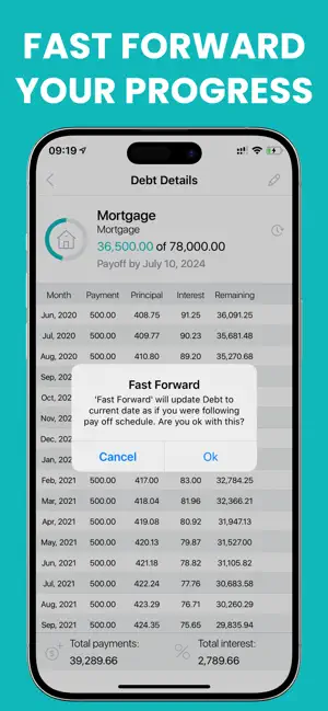 Debt Payoff Box: Snowball Plan screenshot 4