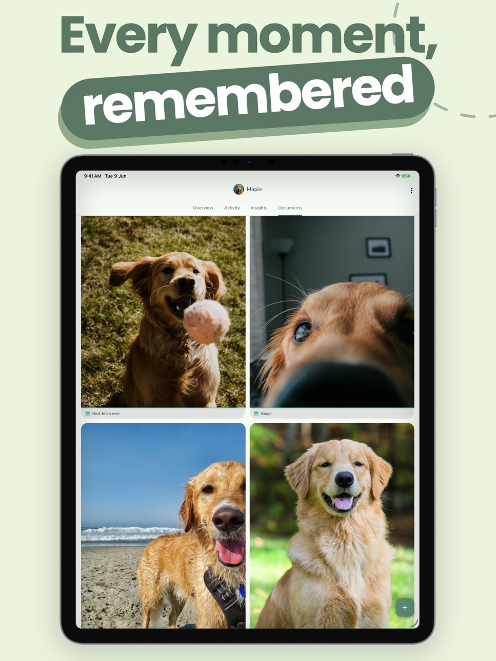 iPad screenshot
