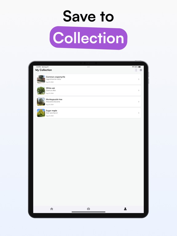 TreeID - Tree Identifier iPad screenshot 4 - Education app