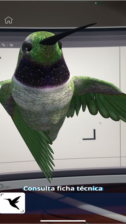 IztalacaAR screenshot-3