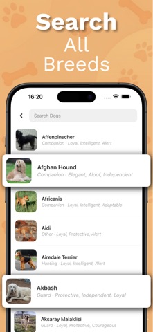狗狗识别工具：拍照快速辨认各种犬种 screenshot