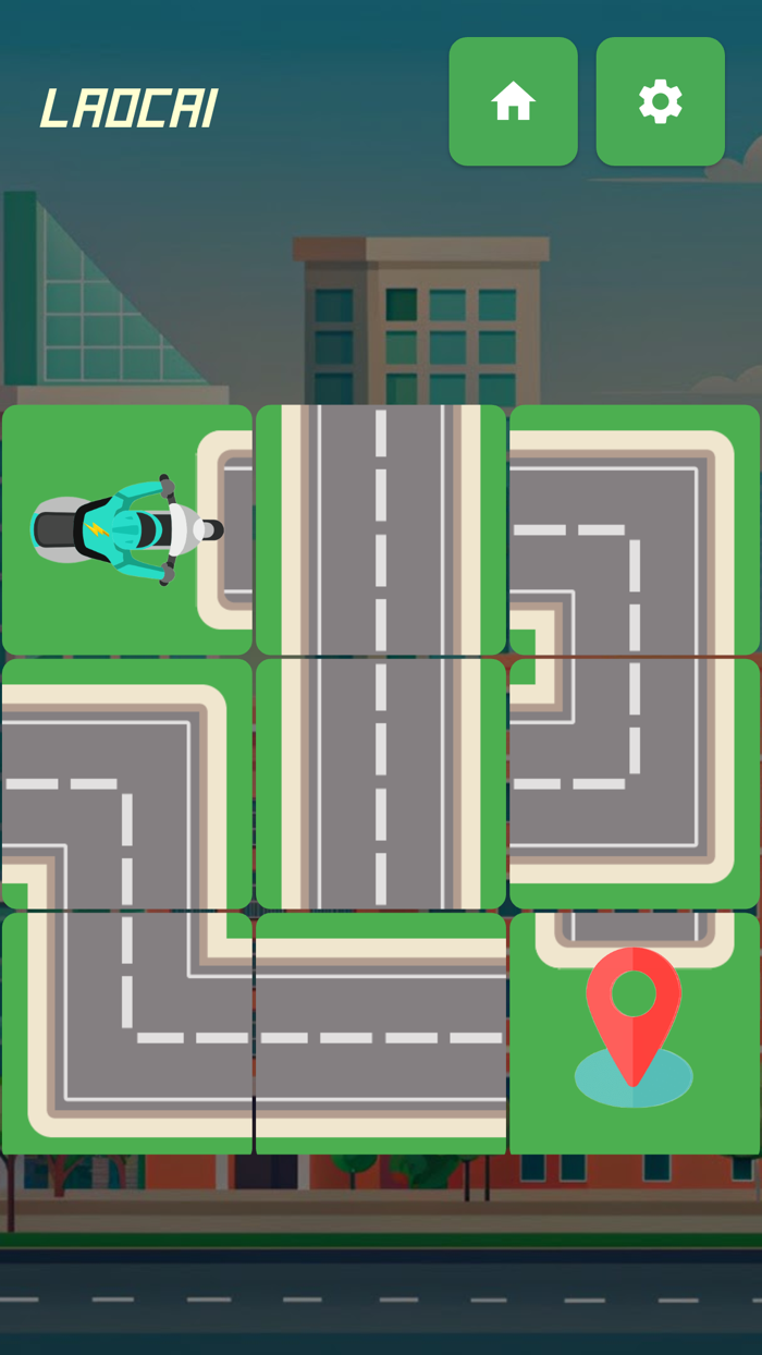 Electric Vehicle Driver