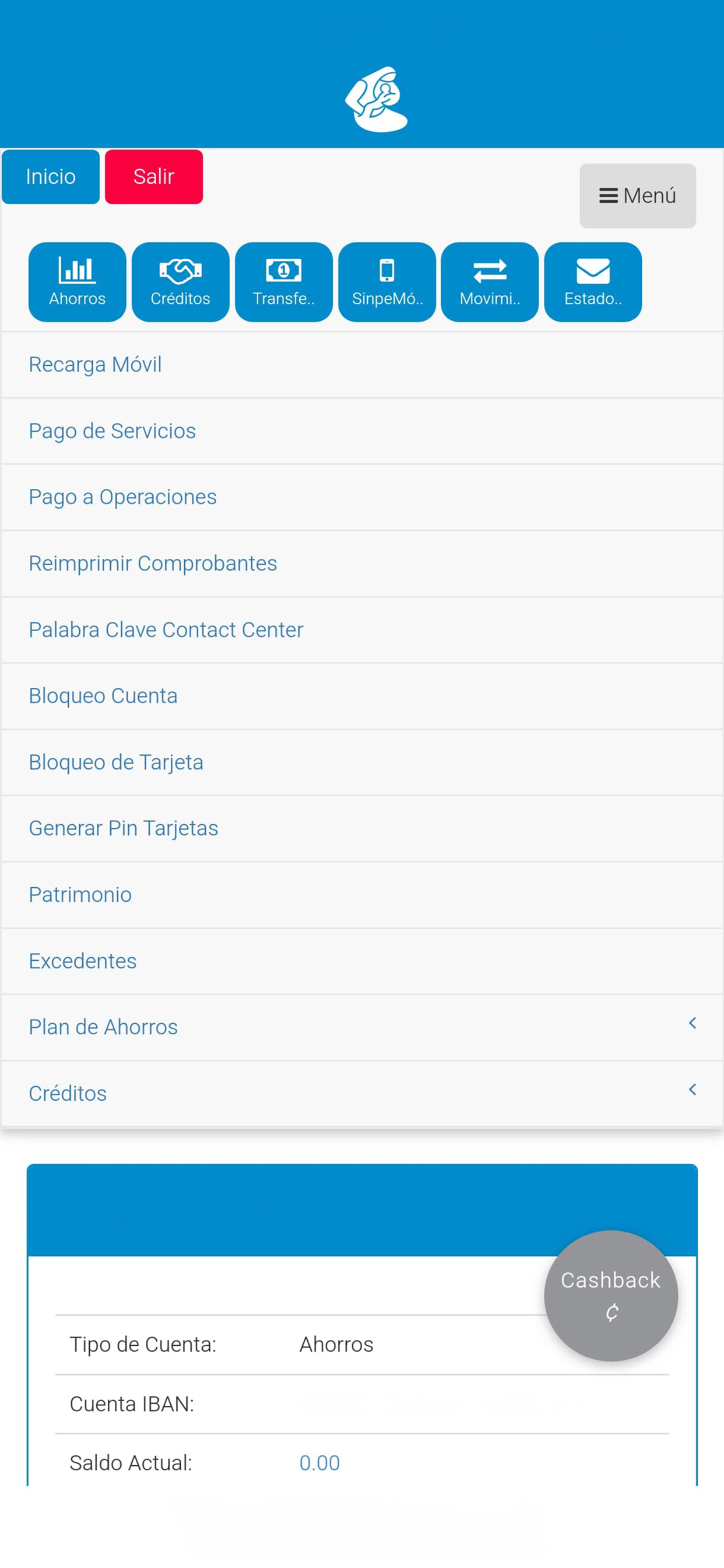 ASECCSS COSTA RICA screenshot 4