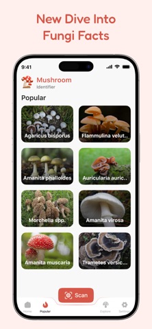 Mushroom Identify Screenshot 4 of 6