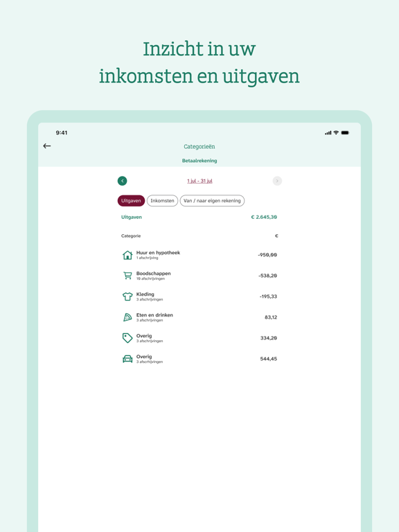 SNS iPad screenshot 3