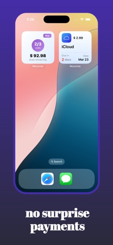 Recurroo - Track Subscriptions Screenshot 7 of 7