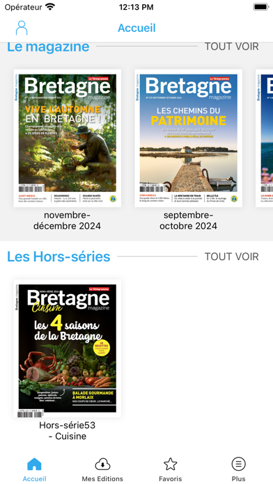 Bretagne Magazine Screenshot