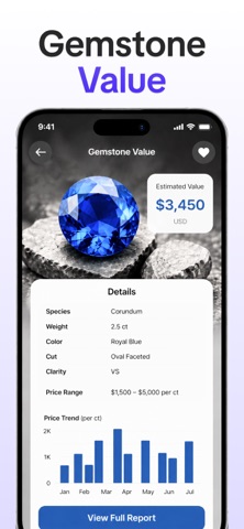 Rock Identifier & Stone ID App Screenshot 6 of 8