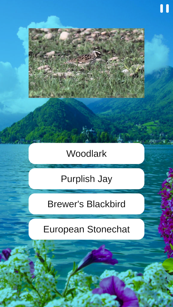 Birds Quiz and Learn