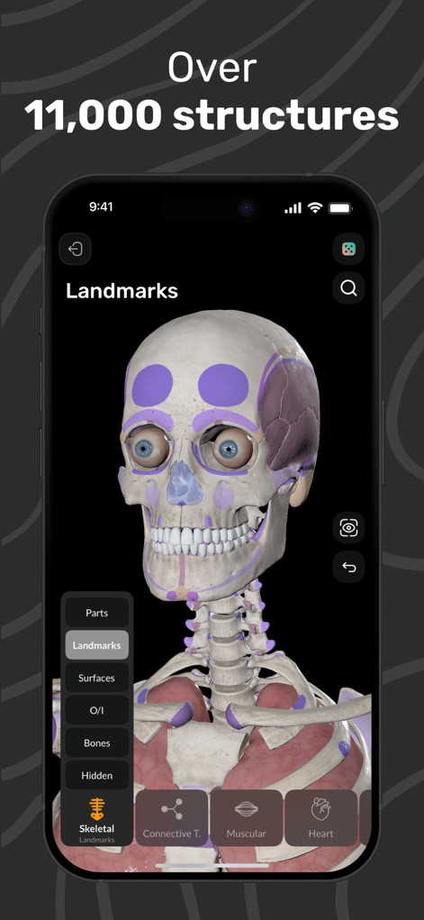Easy Anatomy 3D - Navigate through the comprehensive 3D atlas, featuring over 11,000 structures and interactive landmark identification.