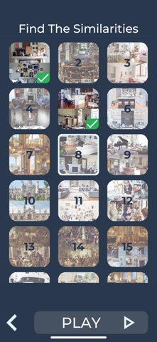 Find The Similarities Game Screenshot 2 of 8