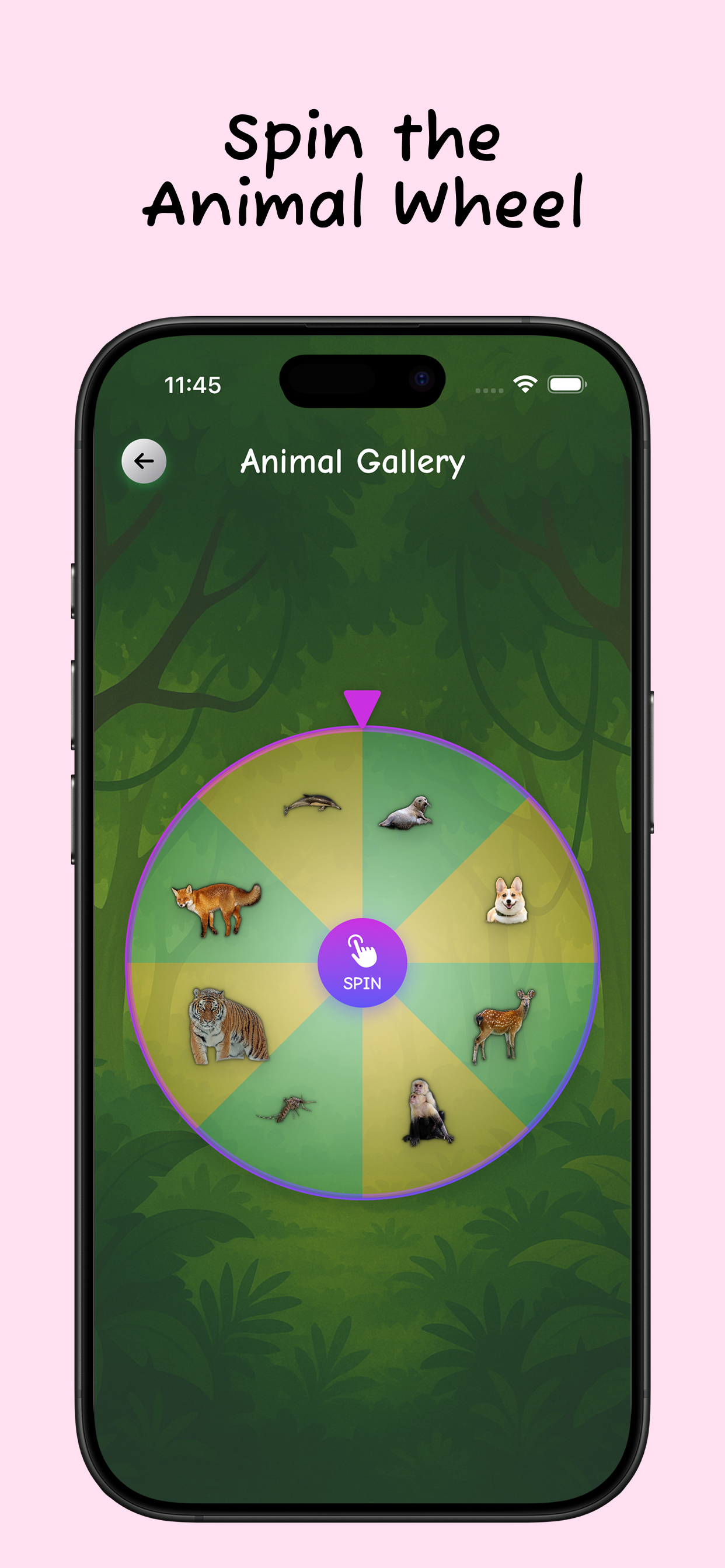 Animal Sounds - Easy learning