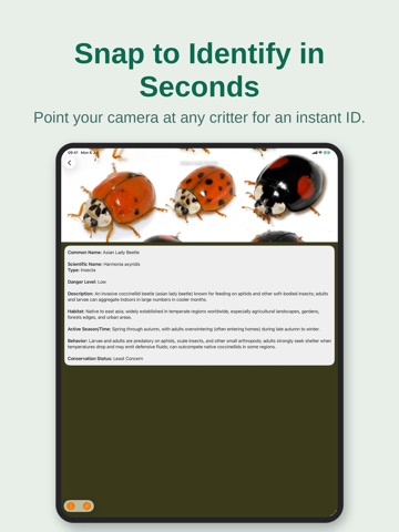 CritterAware: Wildlife Finder iPad screenshot