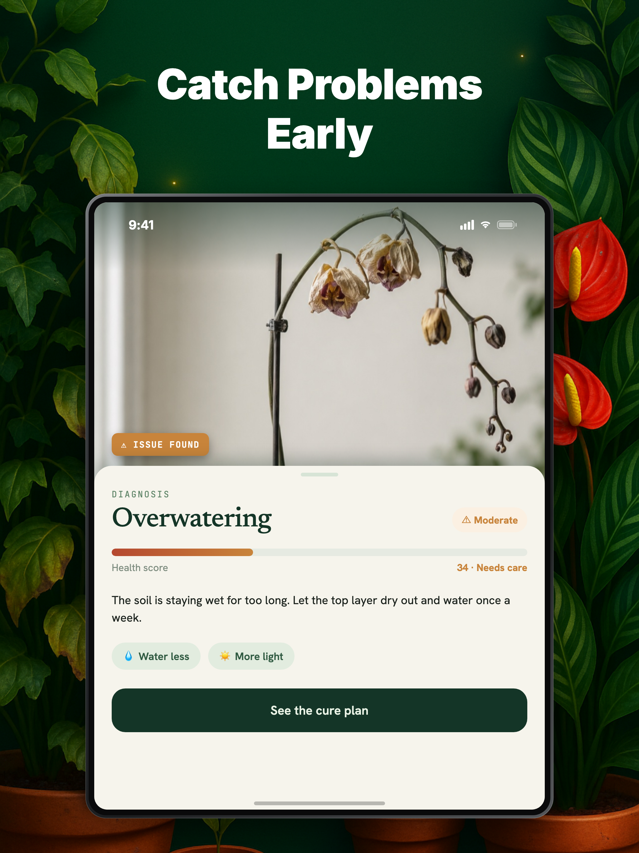 Plant Doctor: Plant Identifier screenshot 9