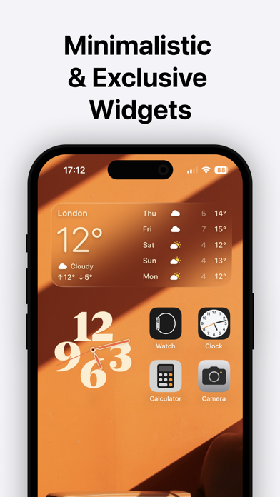 Blank Widget App Screenshot