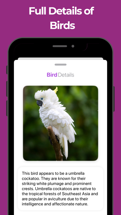 Bird Identifier & Bird AI Id Screenshot