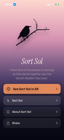 Sort Sol screenshot 1