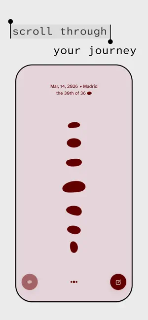 Pebble Journal. screenshot 3
