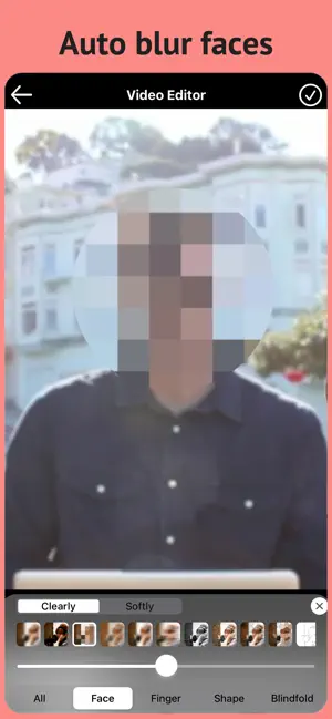 Blur Video & Mosaic screenshot 2