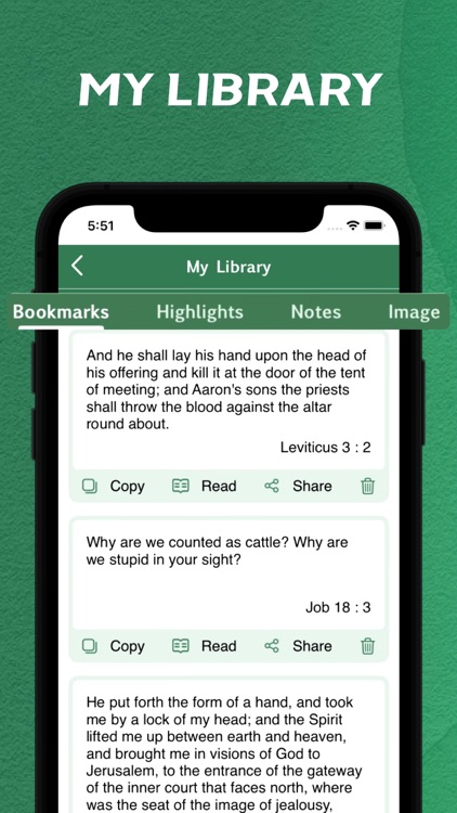 RSV Bible - offline screenshot-3