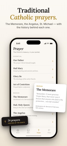 Ora: Catholic Bible Widget Screenshot 4 of 6