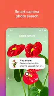 yandex with alice ai iphone images 2