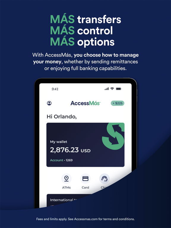 AccessMas iPad screenshot 8 - Finance app