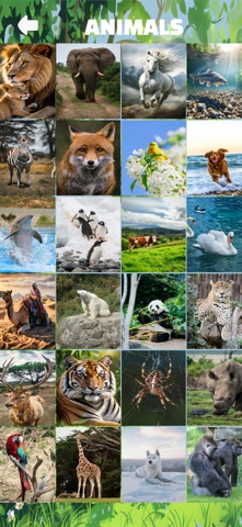 Pics Puzzle Slider Screenshot 3 of 9