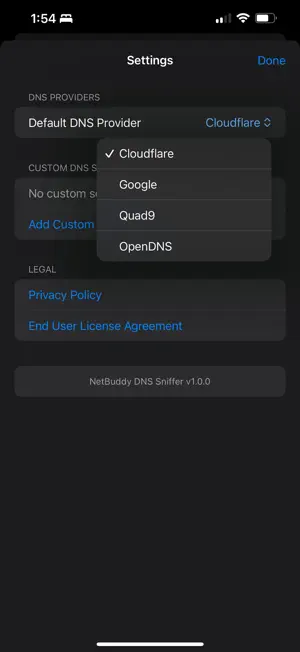 NetBuddy DNS Sniffer screenshot 2