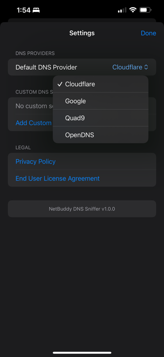 NetBuddy DNS Sniffer Screenshot 2 of 5
