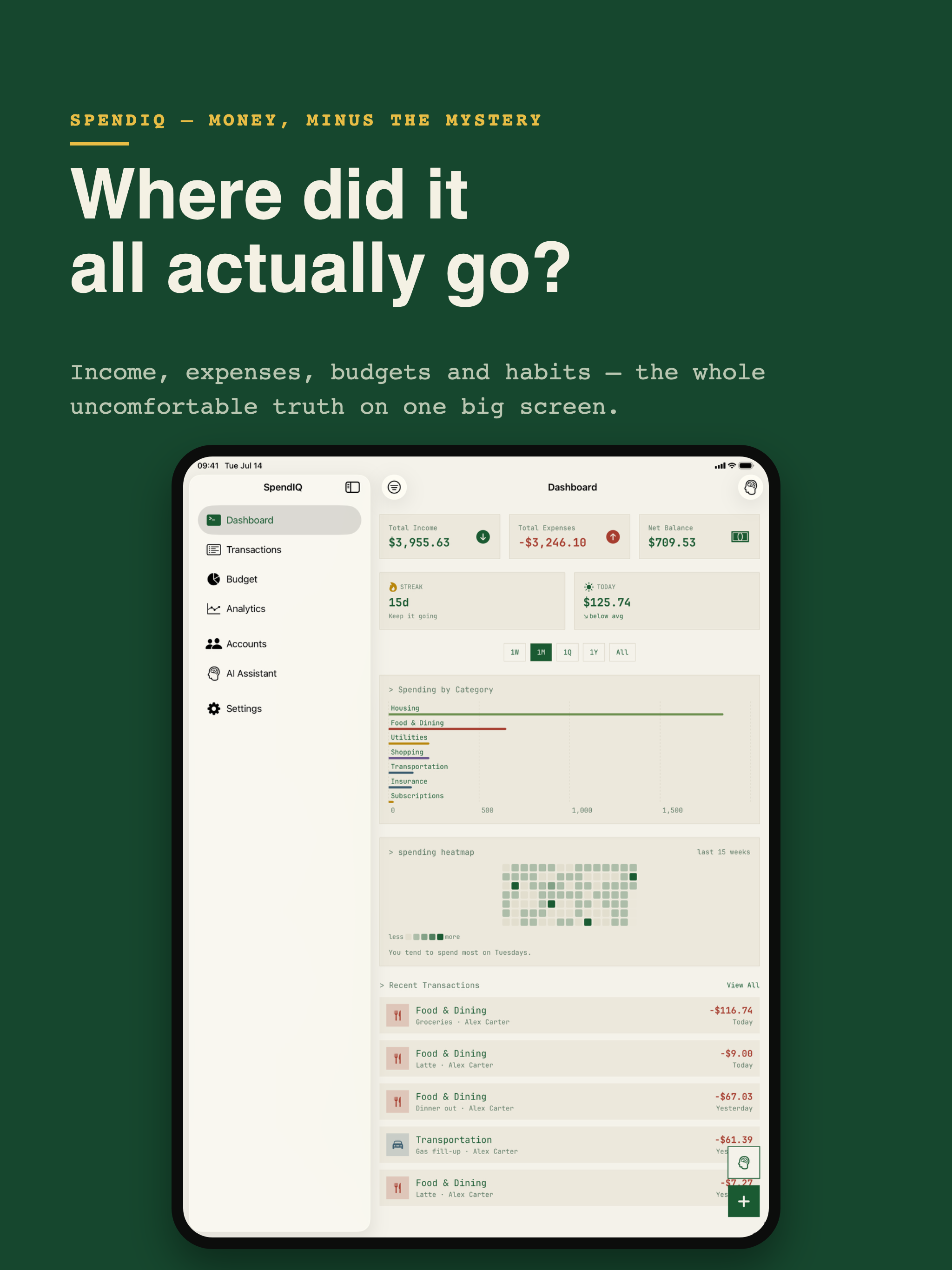 Expense Tracker AI : SpendIQ screenshot 11