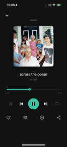 The Scene: Local Music screenshot 1