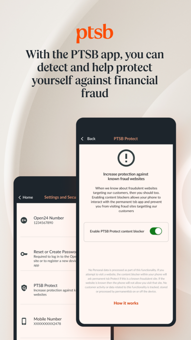 permanent tsb Screenshot