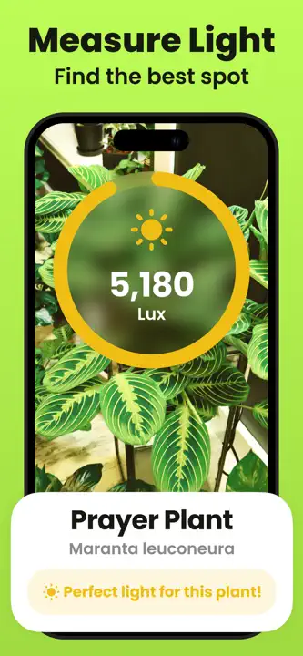 Plant Identifier & Care: Screenshot 5 von 8
