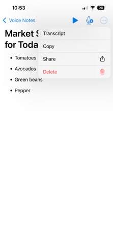 VoiceNotes - AI screenshot