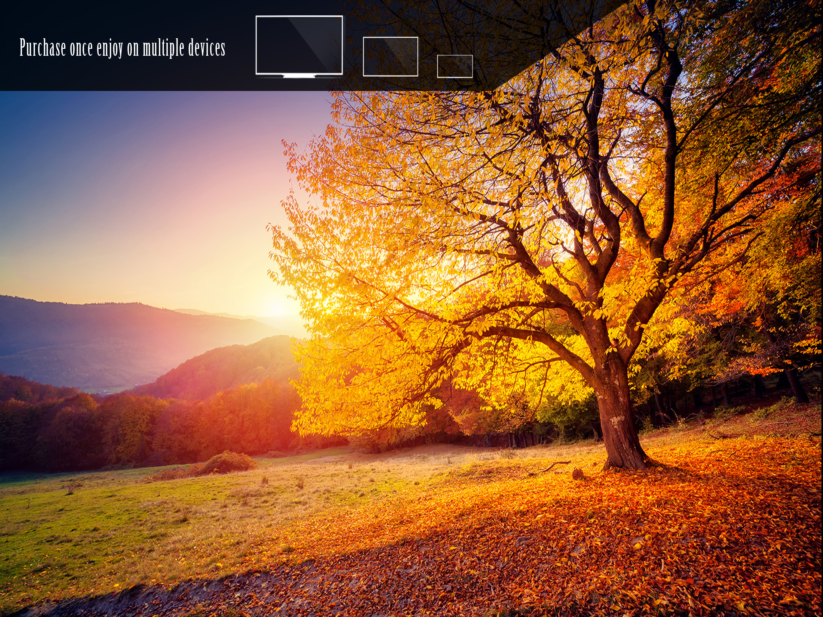 Autumn Ambience
