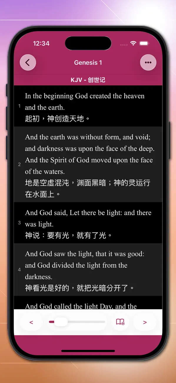 Screenshot #3 pour SimpleBible  - Bilingual