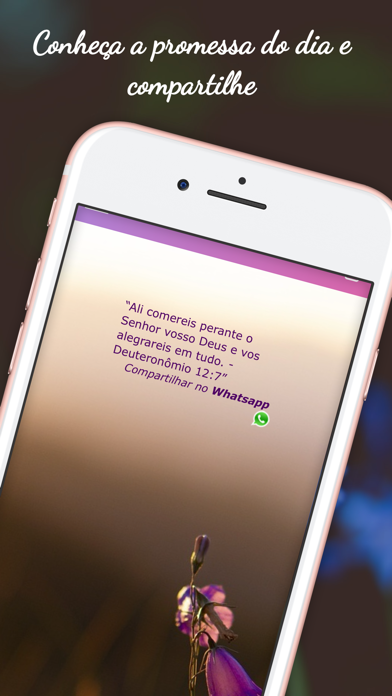 Bíblia Mulher de Virtudes Screenshot