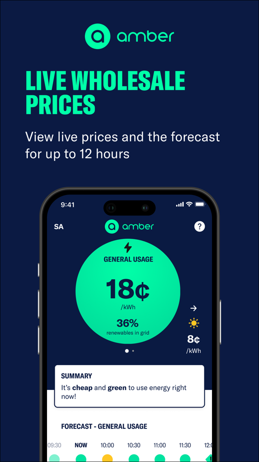 #1. AmberElectric (iOS) 由: Amber Electric Pty Ltd
