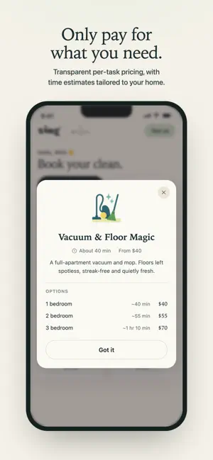 Zing Cleaning screenshot 2