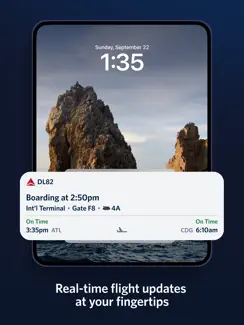 Fly Delta iPad image 4