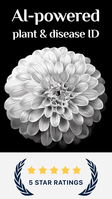 Free Plant Identifier Screenshot