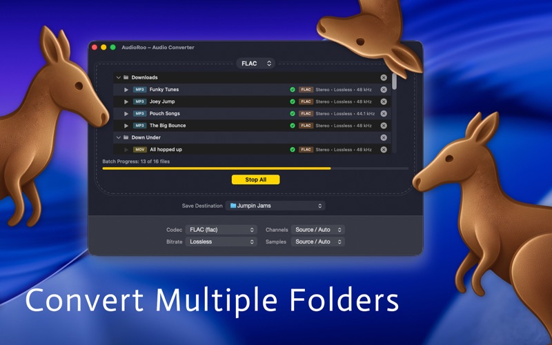 AudioRoo screenshot