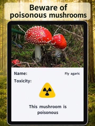 Mushroom Identifier:AI iPad screenshot