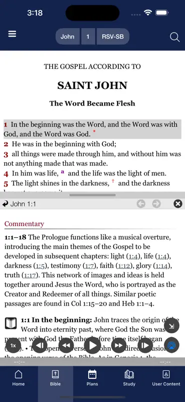 Bible - Catholic Study screenshot 4 of 6