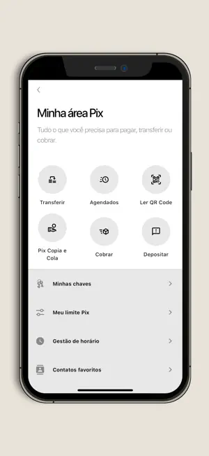 PixPay Bank screenshot 4