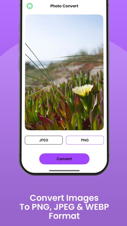 PicSize: Image & Photo Resizer