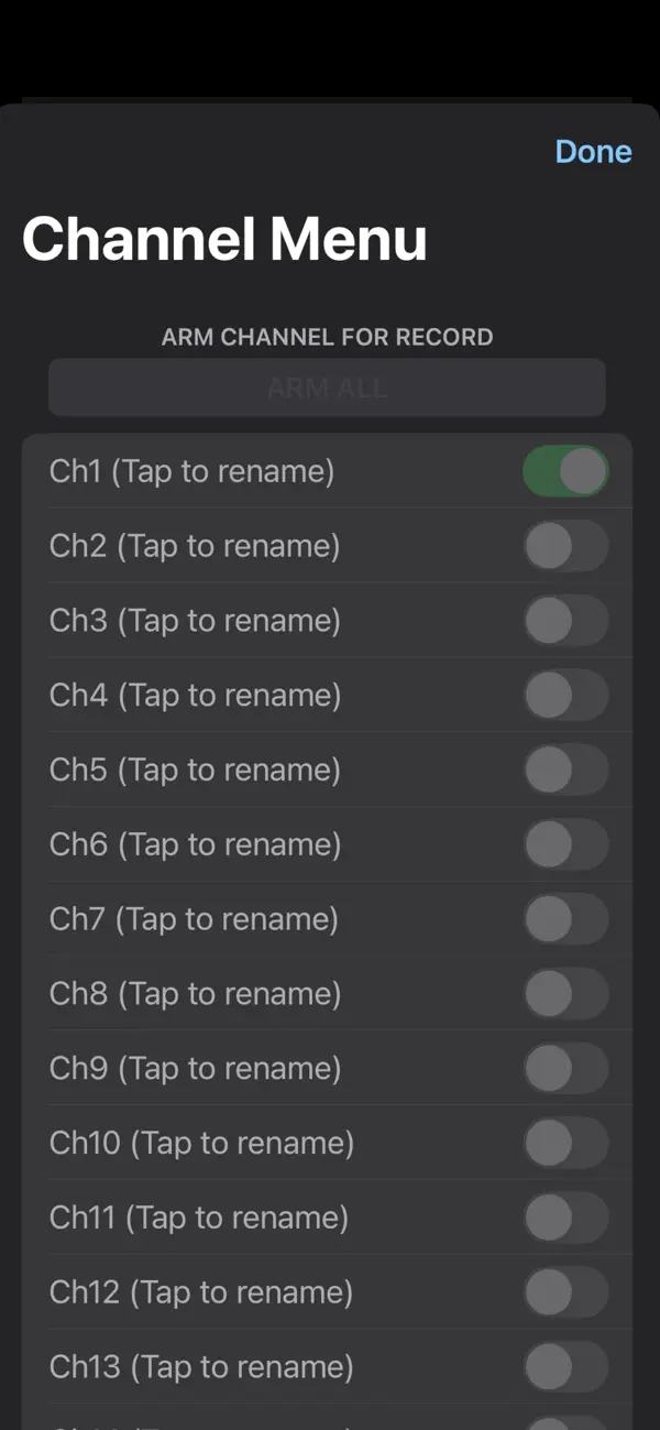 Screenshot #2 pour A1 Multitrack Record