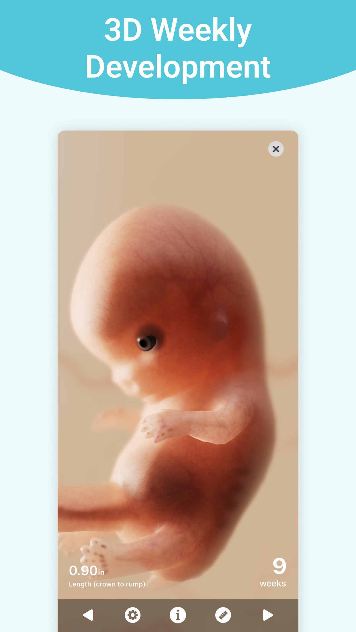 Pregnancy + | Tracker App screenshot 5